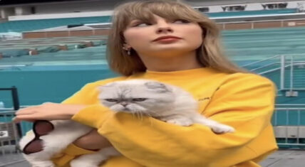 Taylor Swift plays GloRilla's "Whatchu Kno About Me" on Instagram