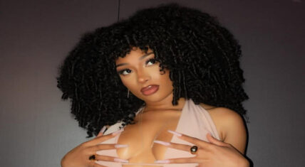 Megan Thee Stallion granted restraining order against Tory Lanez
