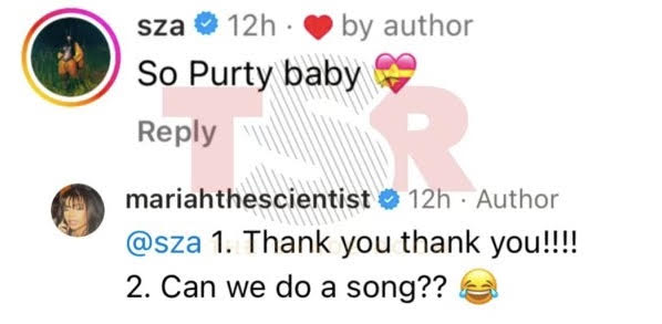 Mariah The Scientist asks for SZA collaboration