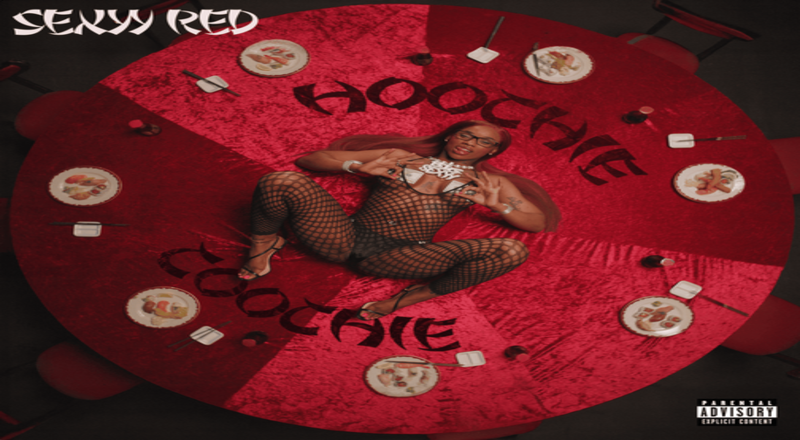 Sexyy Red drops new "Hoochie Coochie" single