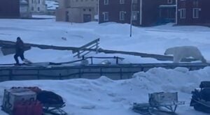A man was minding his own business when a polar bear began chasing him. The situation was caught on camera. He jumped on a snowboard and fled to safety.