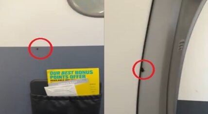 A woman recorded roaches crawling on the wall during her flight on Spirit Airlines.