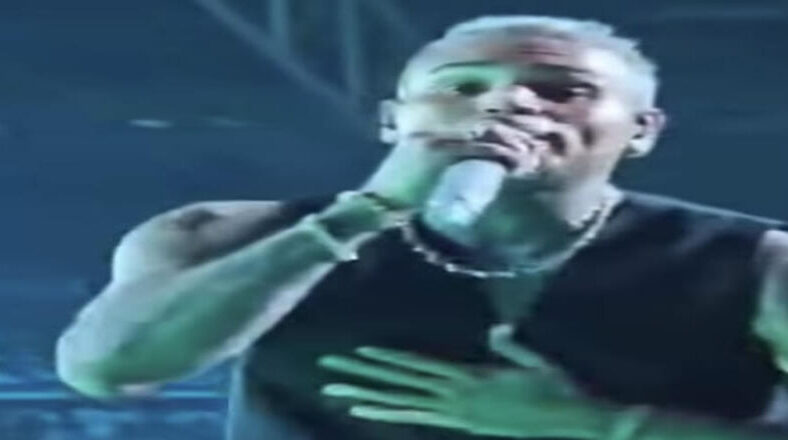 Chris Brown fan removed from concert after throwing drink