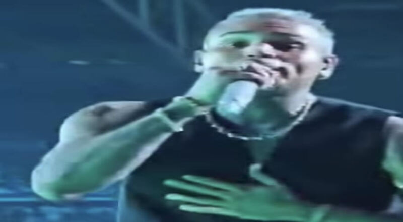 Chris Brown fan removed from concert after throwing drink on stage