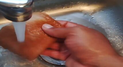 On X, a video of Walmart bread functioning like a sponge went viral. There are all kinds of concerns. But here are the facts.