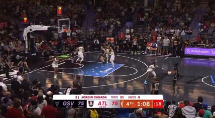 A game between the Golden State Valkyries and the Atlanta Dream was interrupted by a dildo being thrown onto the court, of all things.