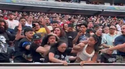 During Day 2 of WWE SummerSlam at MetLife Stadium, a fight broke out between two female fans. The situation turned into an all-out brawl.