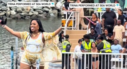 Trina performed at SeaWorld San Diego, this past weekend, and she had an energetic show. During her performance, one of the fans in the crowd wound up arrested.