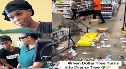 Last month, a Michigan woman was upset over allegedly being skipped in a Dollar Tree checkout line. This woman ran out of patience. First, she expressed her frustration with the sales associate set to check her out. Then, she proceeded to go through the store, knocking all of the inventory to the ground.