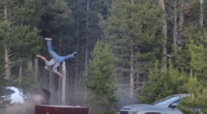 Bison tosses grandfather 8 feet in the air at Yellowstone Campground [VIDEO]