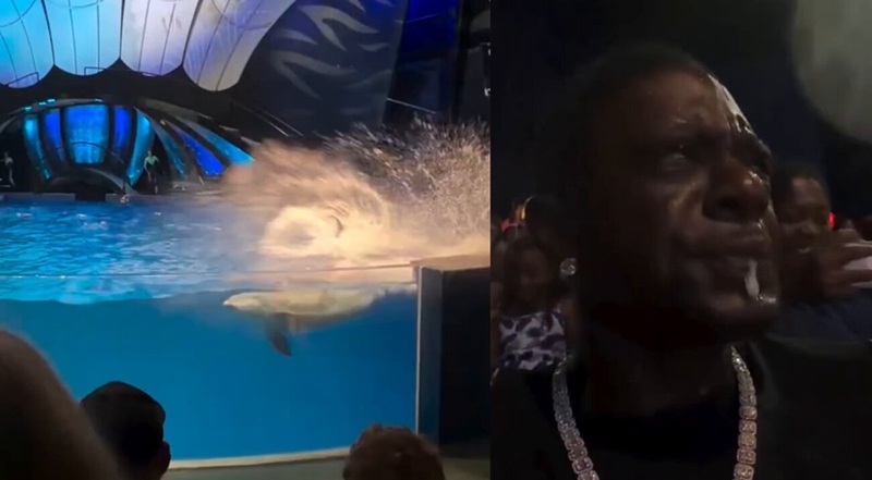 Boosie Badazz gets soaked by dolphin splash during family aquarium trip [VIDEO]